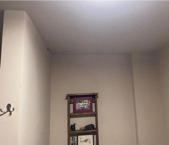 Ceiling with mold damage and bookshelf