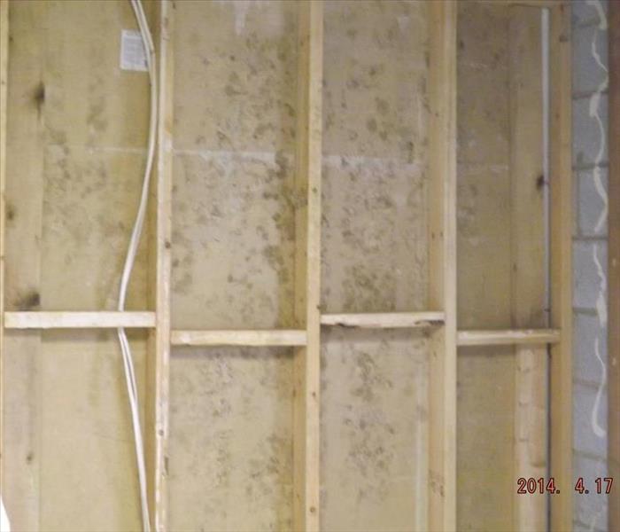 Framed wall with mold growing on the drywall