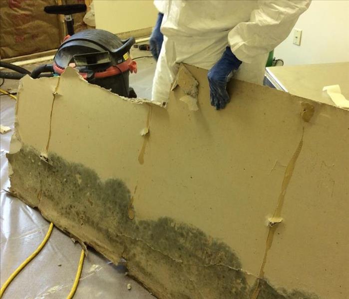 Employee holding a piece of drywall with mold covering the bottom of it
