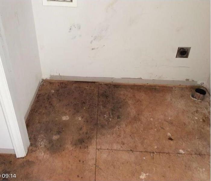 Laundry room floor with visible mold damage on subfloor