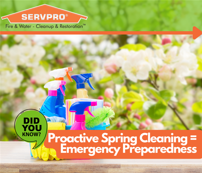 Proactive Spring Cleaning = Emergency Preparedness 