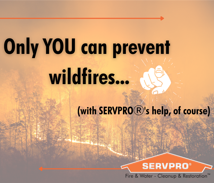 Only YOU can prevent wildfires!