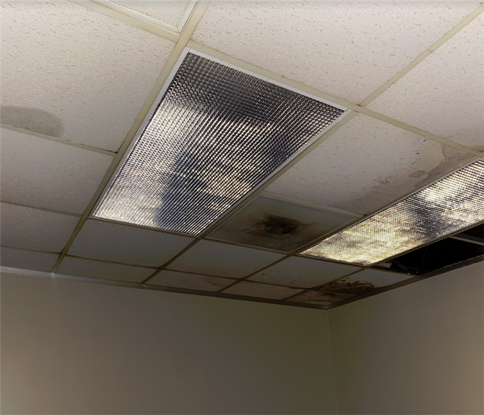 water damaged ceiling tiles